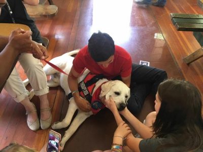 camp-eyabsut-therapy dog