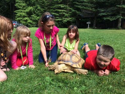 Camp-Eyabsut-kids with tortoise