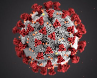 CDC Coronavirus-image