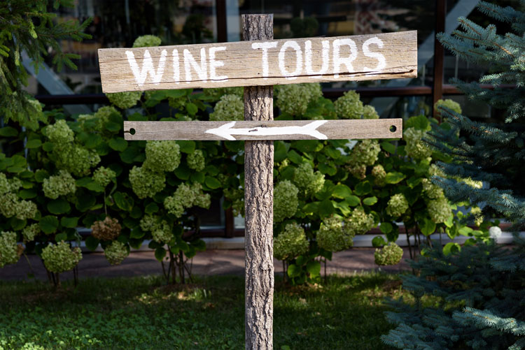 Wine tours